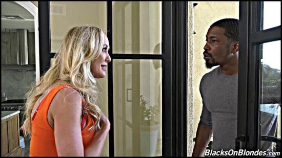 BlacksOnBlondes/DogFartNetwork - Brandi Love - Hardcore (FullHD/1080p/2.94 GB)