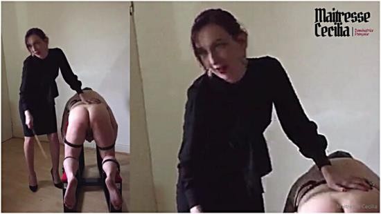 Clips4Sale - Maitresse Cecilia - When A Panties Thief Gets Punished (FullHD/1080p/376 MB)