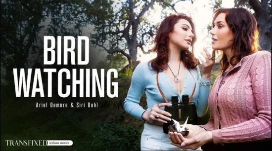 Transfixed/AdultTime - Siri Dahl, Ariel Demure(Bird Watching) (FullHD/1080p/2.00 GB)