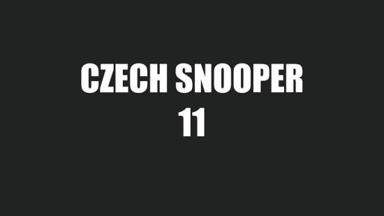 CzechSnooper/Czechav - Snooper 11 (FullHD/1080p/310 MB)