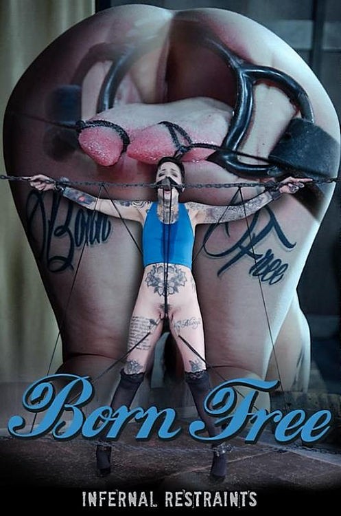 InfernalRestraints - Leigh Raven Born Free (SD/480p/357 MB)